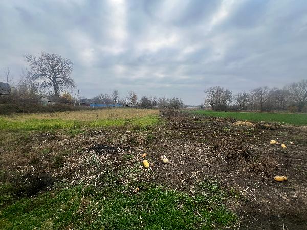  - фото нерухомості