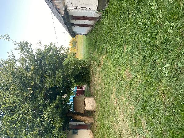  - фото нерухомості