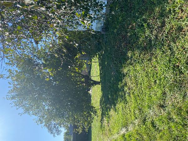  - фото нерухомості