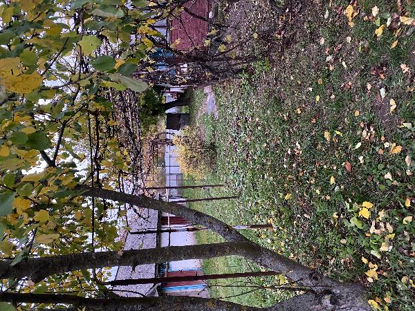  - фото нерухомості