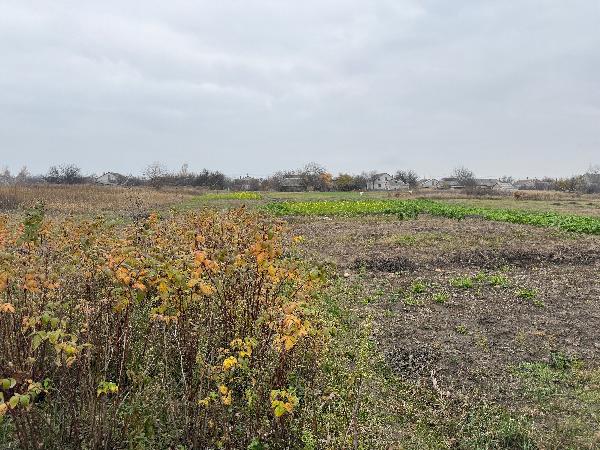  - фото нерухомості