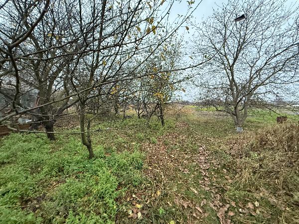  - фото нерухомості