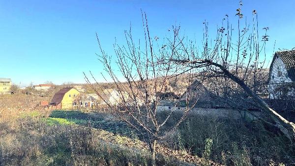  - фото нерухомості