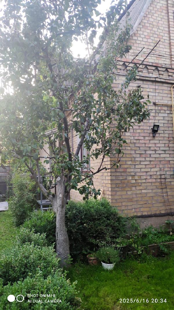  - фото нерухомості