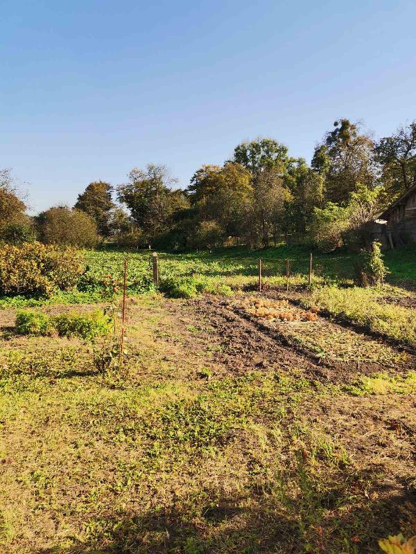  - фото нерухомості