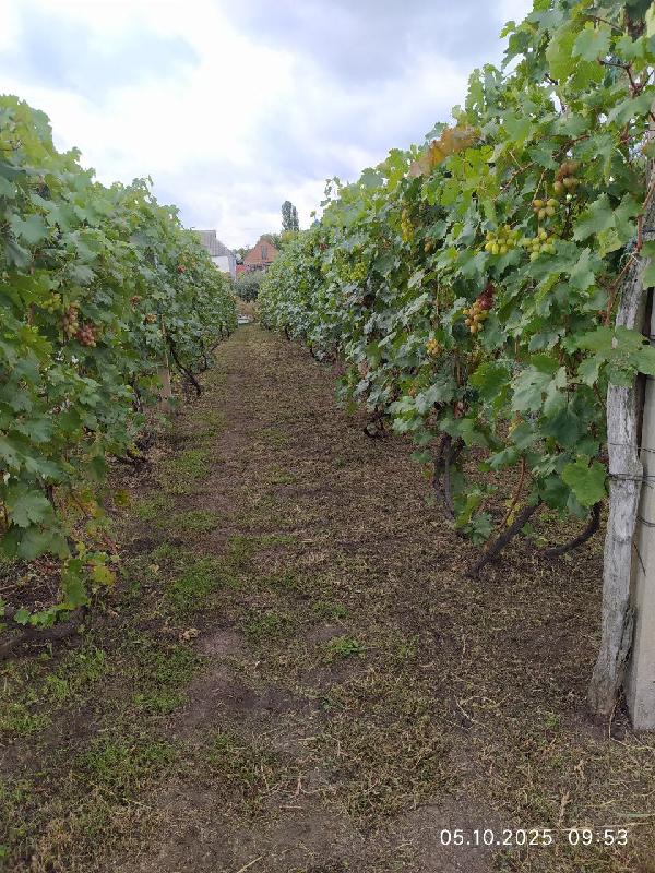  - фото нерухомості