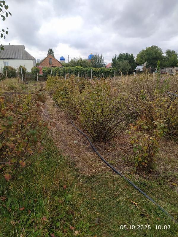  - фото нерухомості