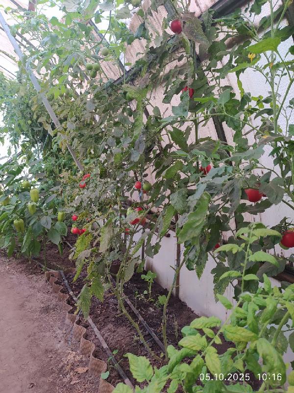  - фото нерухомості