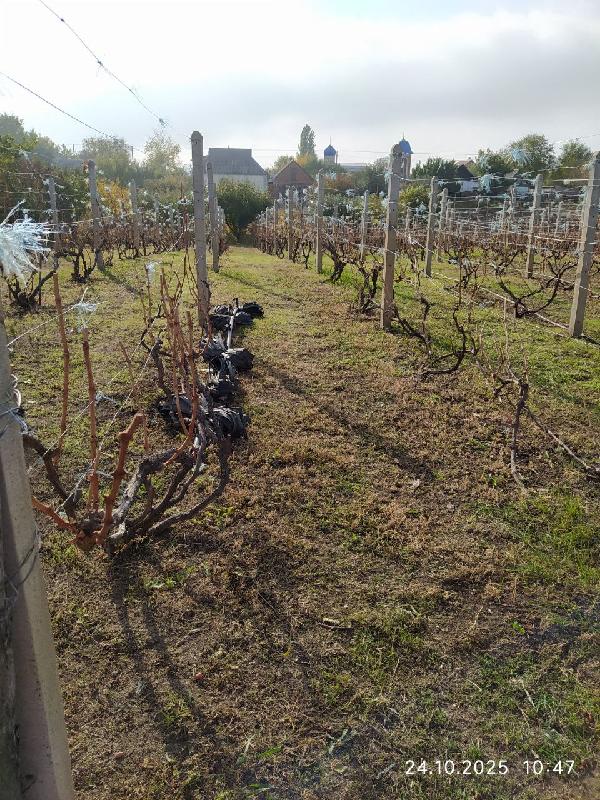  - фото нерухомості