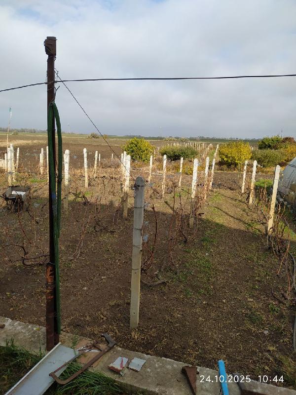  - фото нерухомості