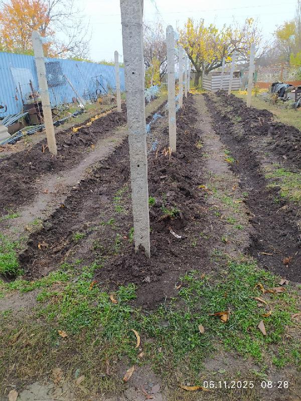  - фото нерухомості