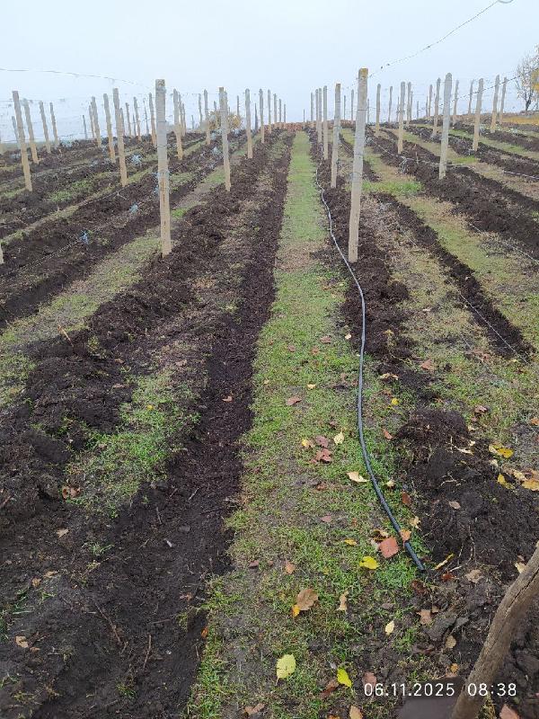  - фото нерухомості