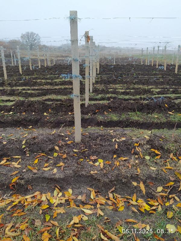  - фото нерухомості