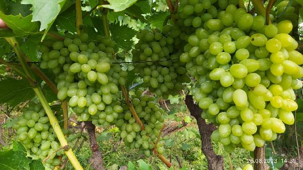  - фото нерухомості