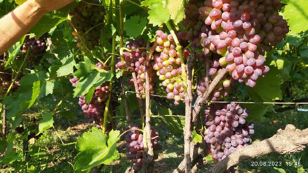  - фото нерухомості