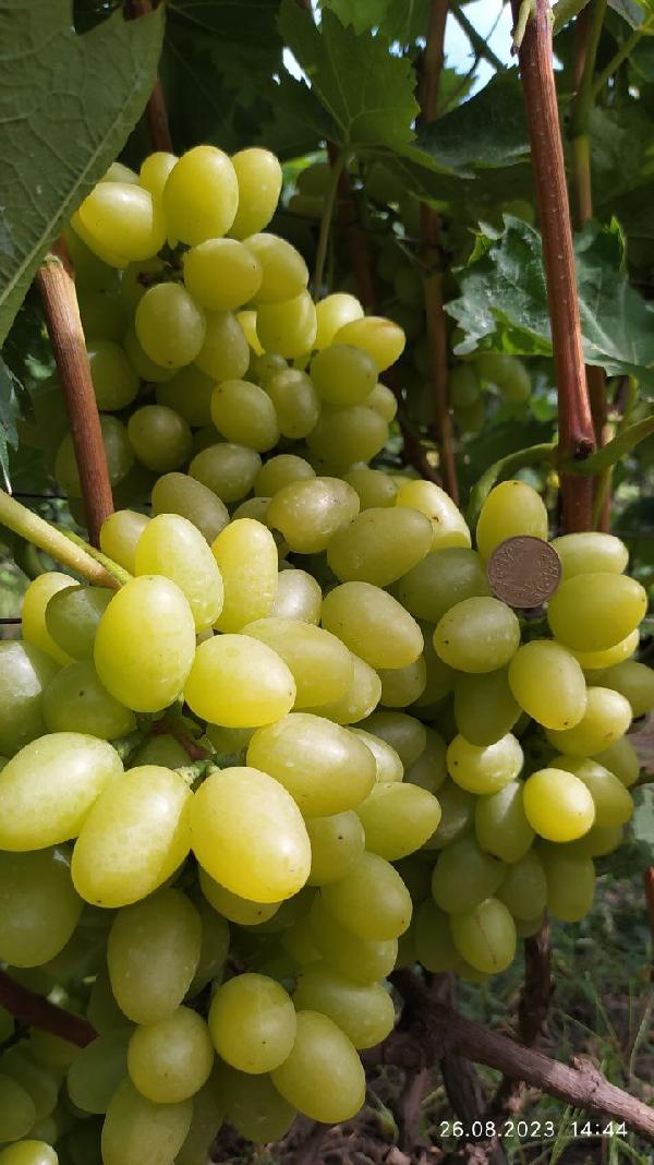  - фото нерухомості