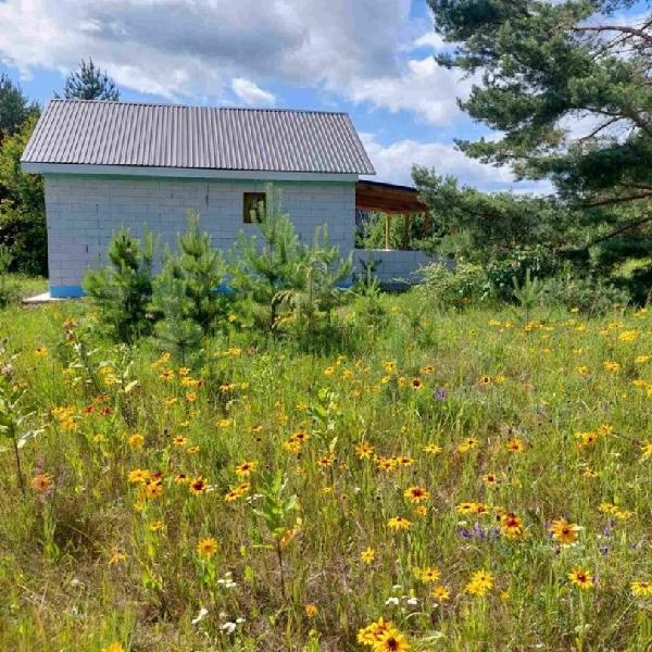  - фото нерухомості