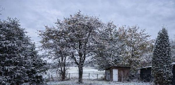  - фото нерухомості