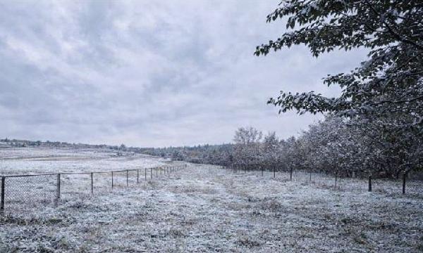  - фото нерухомості