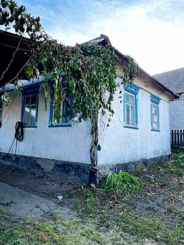  - фото нерухомості