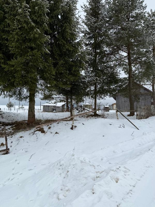  - фото нерухомості