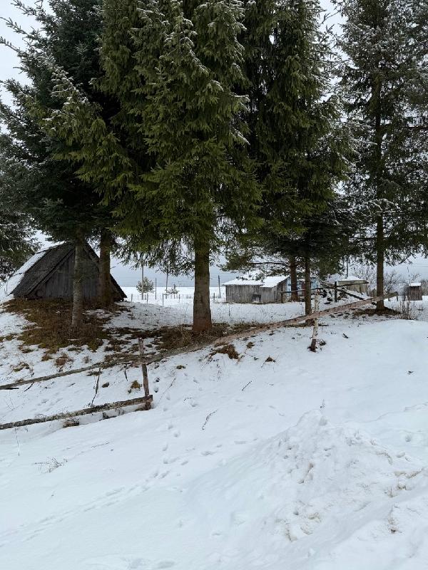  - фото нерухомості