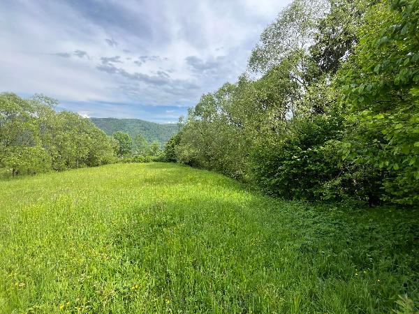  - фото нерухомості