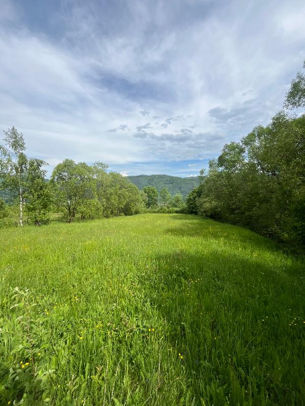  - фото нерухомості