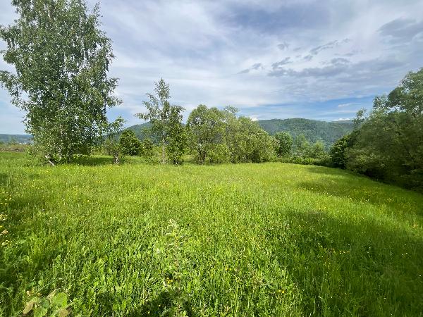  - фото нерухомості