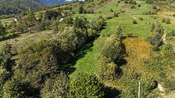  - фото нерухомості