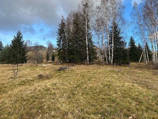  - фото нерухомості