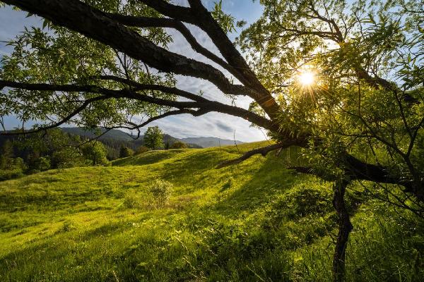  - фото нерухомості