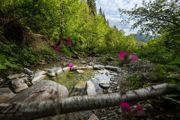  - фото нерухомості