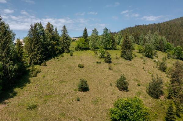  - фото нерухомості