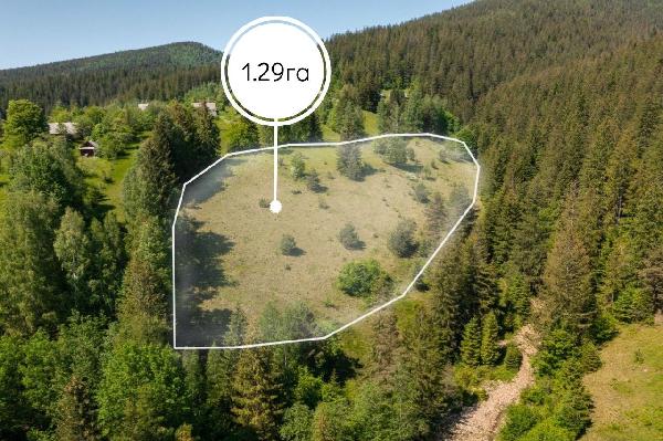  - фото нерухомості