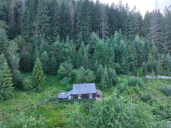  - фото нерухомості