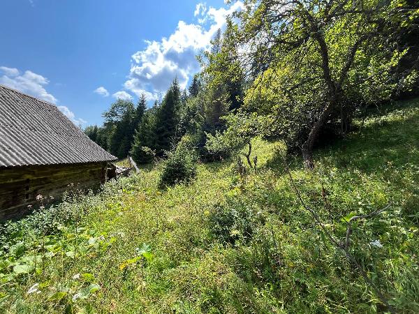  - фото нерухомості