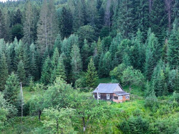  - фото нерухомості