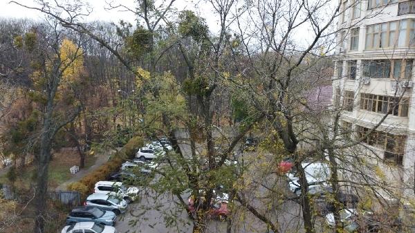  - фото нерухомості