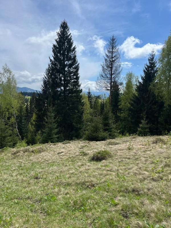  - фото нерухомості