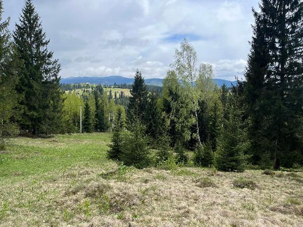  - фото нерухомості