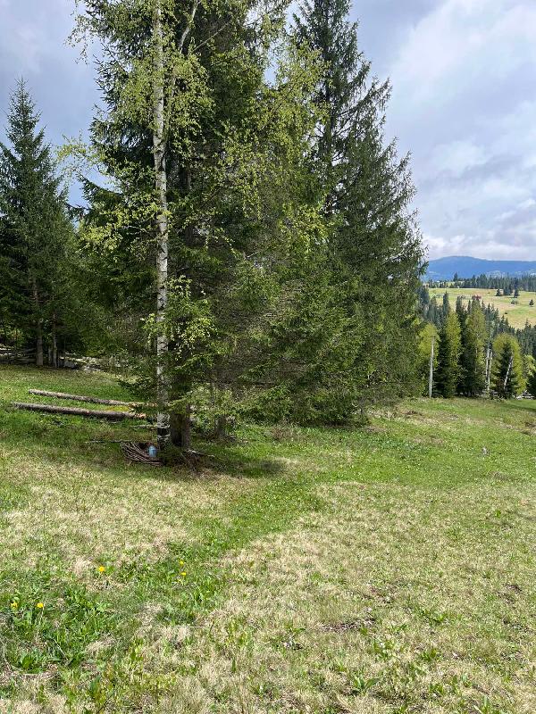  - фото нерухомості