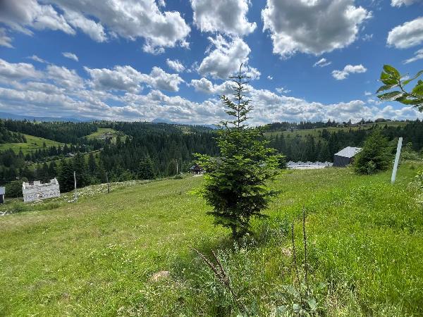  - фото нерухомості