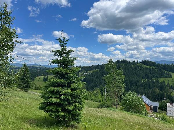  - фото нерухомості