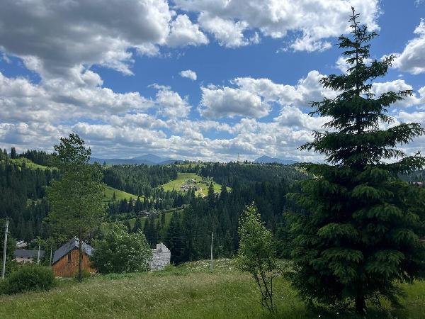  - фото нерухомості