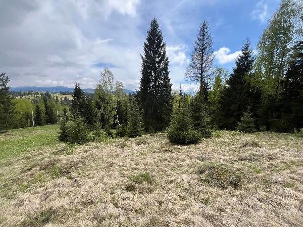  - фото нерухомості