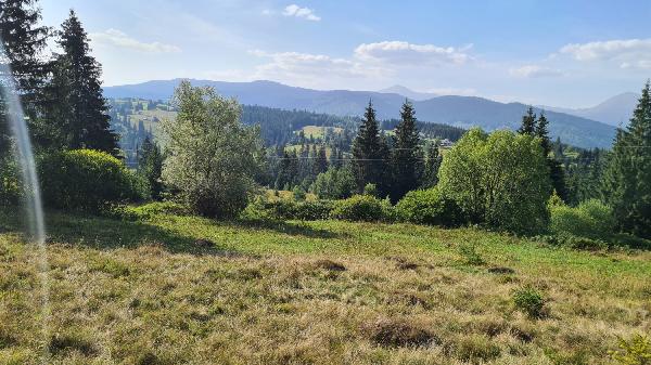  - фото нерухомості