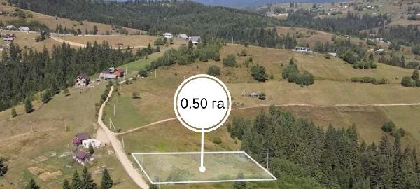  - фото нерухомості