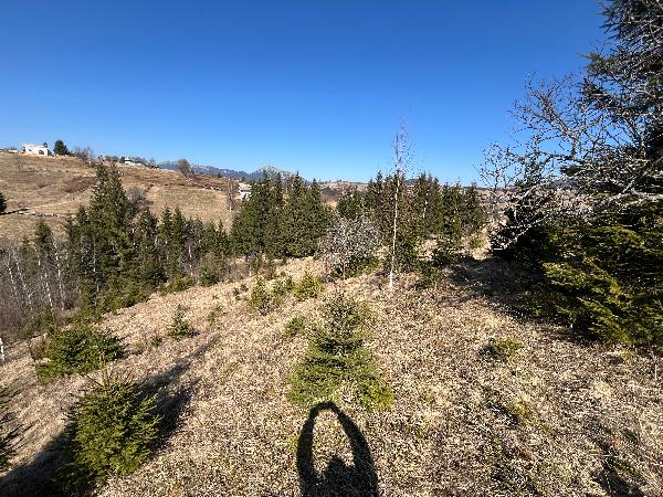  - фото нерухомості