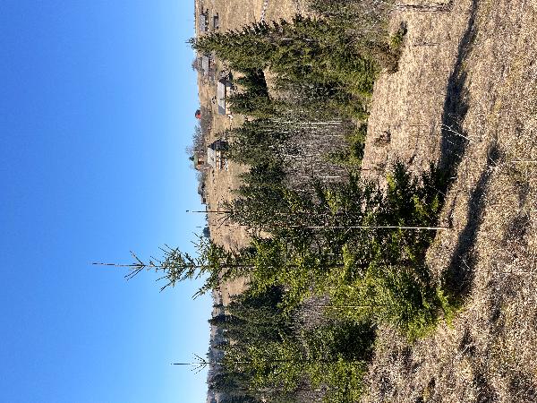  - фото нерухомості